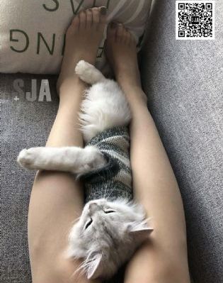 19层楼电视剧免费观看_免费手机在线看片