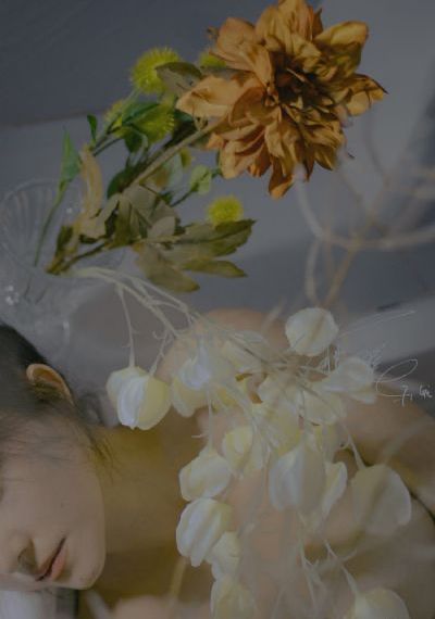 101次抢婚 电视剧_日韩在线播放专区