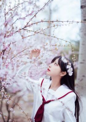 电影美味dj女郎_BD国语高清免费观看